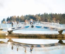 Maffeo_Sutton_Park_Bridge