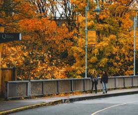 Two people walking along a bridge lined with bright autumn trees.