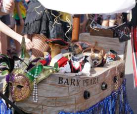 Mystic Krewe of Barkus