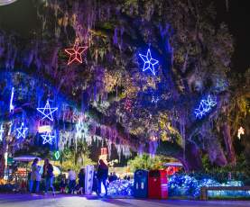 Celebration in the Oaks