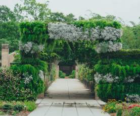 New Orleans Botanical Garden
