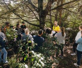 A group of people on a conservation walk listening to the guide with trees surrounding