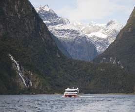 Southern Discoveries Cruise in Milford Sound
