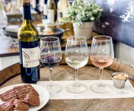 wine bottle with glasses of wine in flight with food