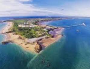 Broome Marlin Cup