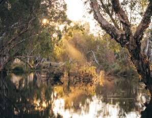 Violet Valley Campground