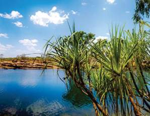 Munurru (King Edward River) Campground