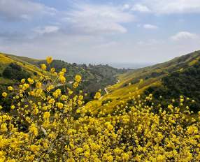 Hiking Trails in Anaheim