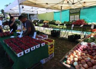 Brisbane Farmers Market