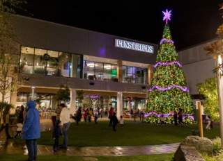 Christmas Lights at Hillsdale Shopping Center