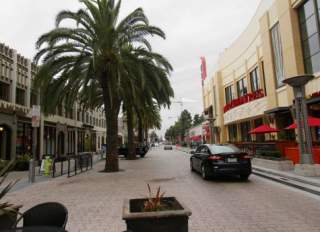 A black car and palm tree in downtown Redwood City.