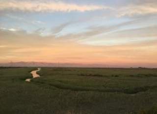 A field with a stream running through it in East Palo Alto.