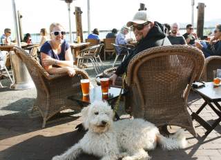 Family_with_dog_at_HalfMoonBay_Brewing_Company_SanMateoCounty_SiliconValley