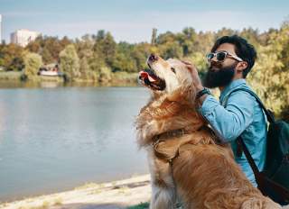 Man enjoying the bay with golden retriever
