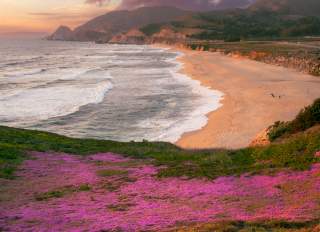 Top Beaches on The San Francisco Peninsula
