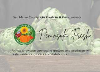 Peninsula Fresh Header Graphic