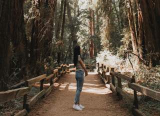 Hero-Image-for-Things-to-Do-Page