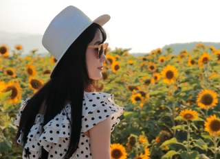 Your Perfect Fall Day Trip: Sunflowers & Pumpkins at Andreotti Family Farm