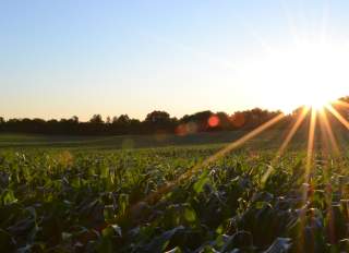 The Best Farm Tours on The San Francisco Peninsula