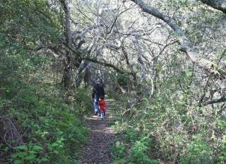 Things To Do In San Bruno, CA