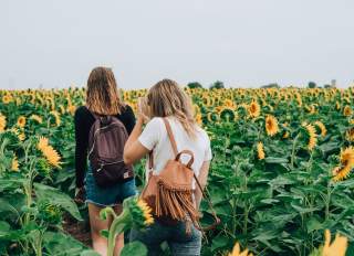Two women walking in a sunflower field wearing backpacks