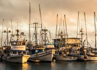 Pillar Point Harbor