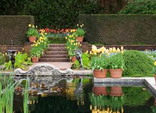 Sunken-garden-at-Filoli-Mansion-and-Gardens