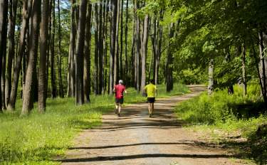 Discover the Trails of Otsego County: A Day Trip Hiking Guide