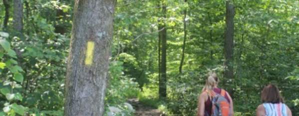 Hiking in French Creek Big Woods