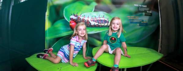 Butterfly Friends Brunch