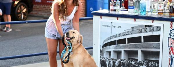 Reading Fightin Phils Home Game & BARK in the Park