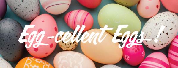 Egg-cellent Eggs!
