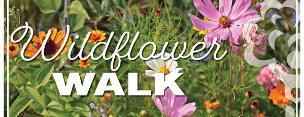 Wildflower Walk