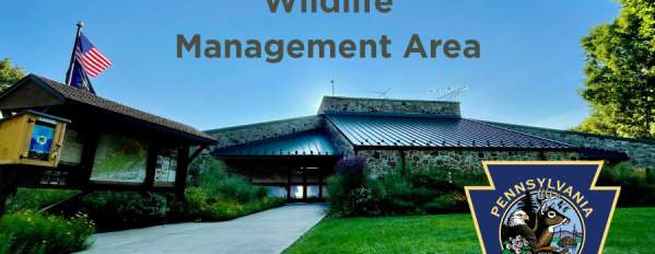 Wildlife Photography in the Field