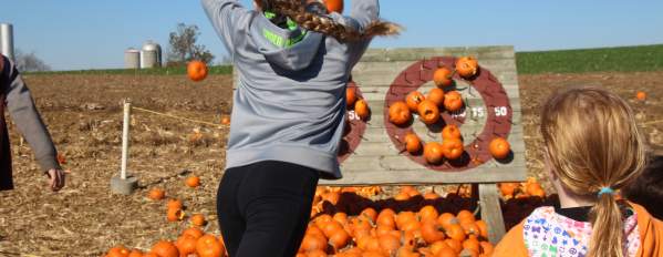 Pumpkin Madness