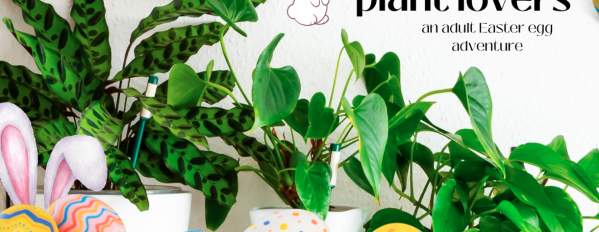 Egg Hunt for Plant Lovers: An Adult Easter Egg Adventure