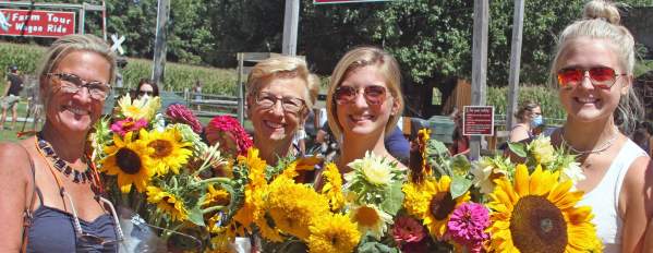 Sunflower Festival