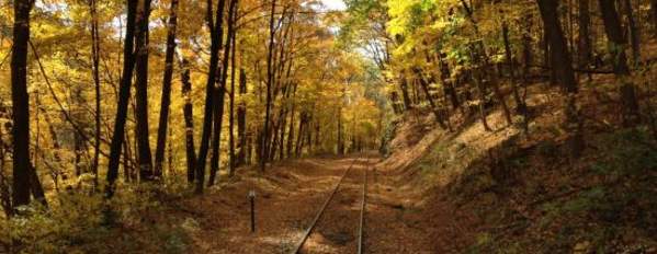 Fall Foliage Tour (No Meal)