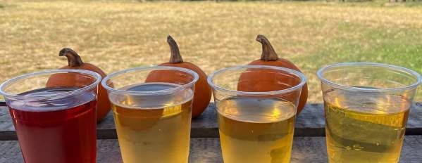 Autumn Splendor Hard Cide Tasting with Frecon Farms