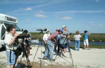 Great Spots for Bird Watching in Florida