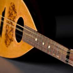 Michigan Mandolin Orchestra at The Playhouse at White Lake