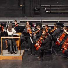 West Michigan Symphony Debut and Premier Strings