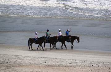 Because you can watch dolphins play in the Atlantic-- from the back of a horse!