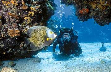 John Pennekamp Coral Reef State Park is widely known as one of the best diving spots in the Florida Keys.