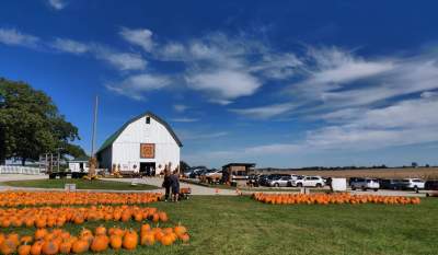 Fantastic Farms To Visit This Fall