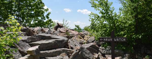 View of trail up to Hawk Watch along the Standing Stone Trail