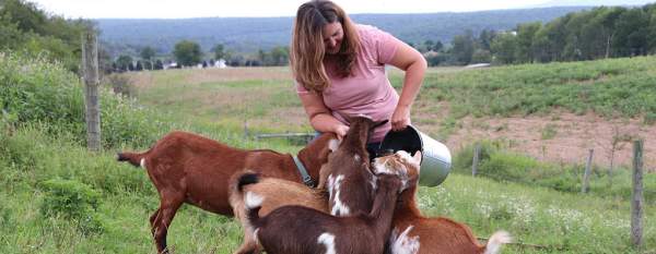 FTF Four Diamonds Ranch - feeding goats
