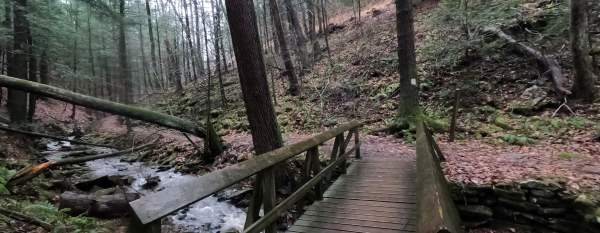 Rainy day hike at Trough Creek State Park