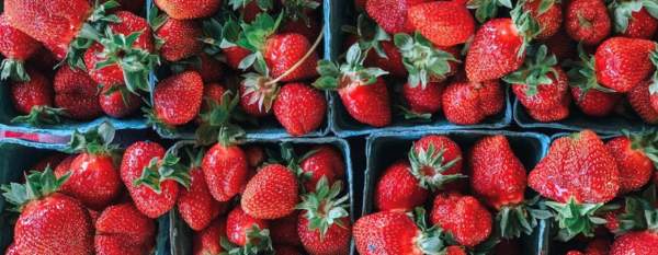 Strawberries Farm Fresh Produce