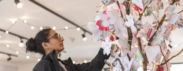 Blossom Exhibition